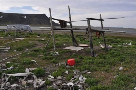 Pacific Walrus and Coastal Alaska Native Subsistence Hunting: Considering Vulnerabilities from ...