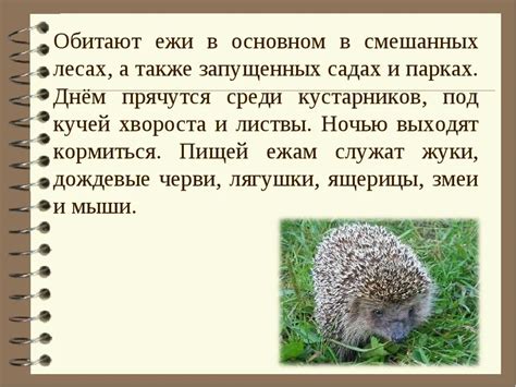 Система ежа