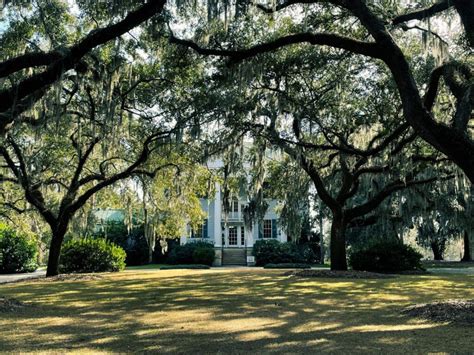 7 Best Plantations in Charleston to Visit in 2025 - The Traveling Drifter