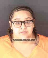 Recent Booking Mugshot For Elizabeth Morales In Sarasota County Florida