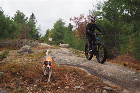 Torrance Barrens Mountain Bike Trail In Gravenhurst Ontario