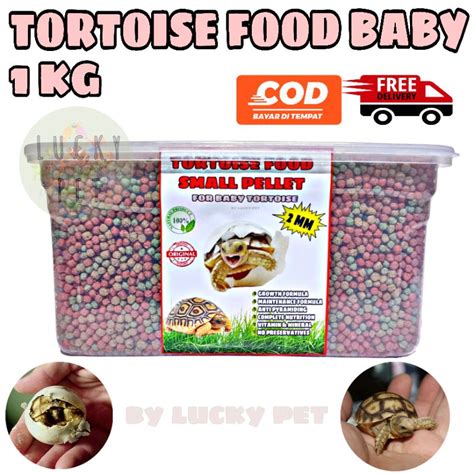 Jual Kg Pelet Baby Makanan Kura Kura Darat Baby Anak Anakan Sulcata