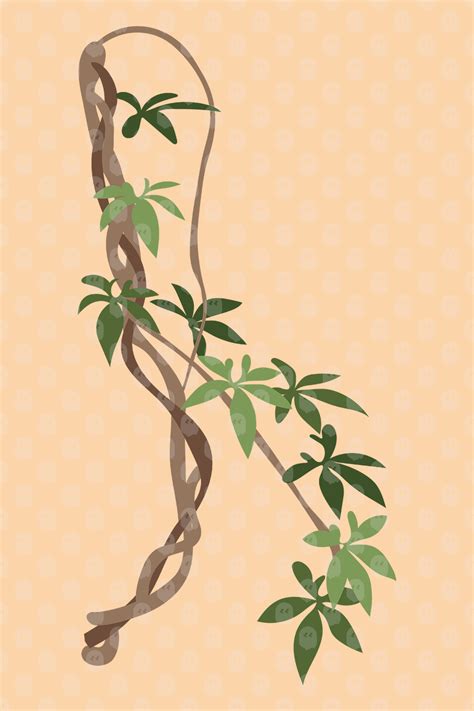 Archade Tropical Vine Plant Vector Drawings