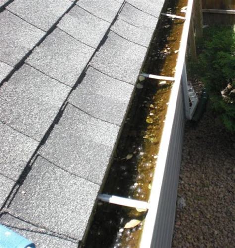 DIY Gutter Cleaning: 7 Tips to Staying Safe