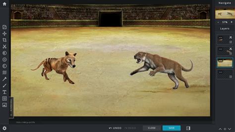 Thylacine Vs Thylacoleo YouTube