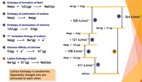 Constructing Born Haber Cycles Flashcards Quizlet