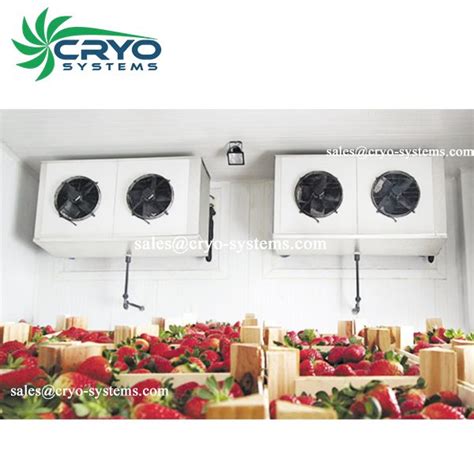 Cámaras frigoríficas para frutas Cryo Systems Co Limited