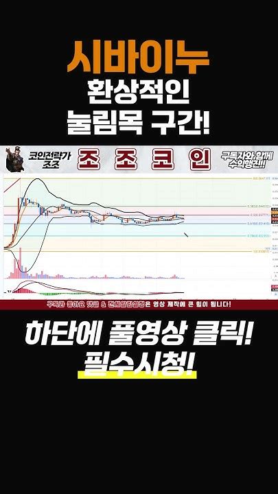 시바이누 코인 🎉환상적인 눌림목 구간 찬스 6월 Xxx까지 갑니다~시바이누 도지코인 전망 호재 목표가 대응조조 코인