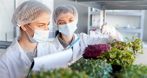 Qu Es Haccp Y Por Qu Es Importante Certificarse Servicios De