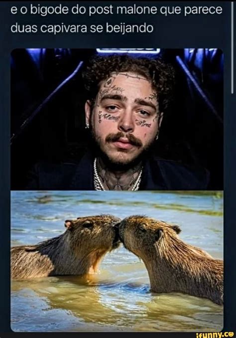 E O Bigode Do Post Malone Que Parece Duas Capivara Se Beijando IFunny