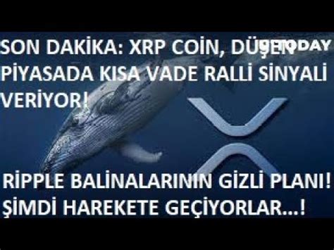 SON DAKİKA XRP COİNDE DÜŞEN PİYASADA RALLİ SİNYALİRİPPLE