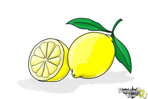 How to Draw a Lemon - Step by Step Tutorial