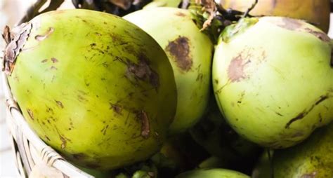 Rahasia Kesehatan Tersembunyi Dalam Buah Kelapa Temukan Manfaatnya