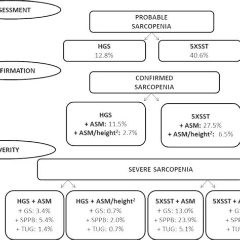 Pdf Prevalence Of Sarcopenia In Older Women And Level Of Agreement