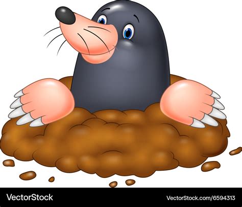 Cartoon Funny Mole Royalty Free Vector Image Vectorstock