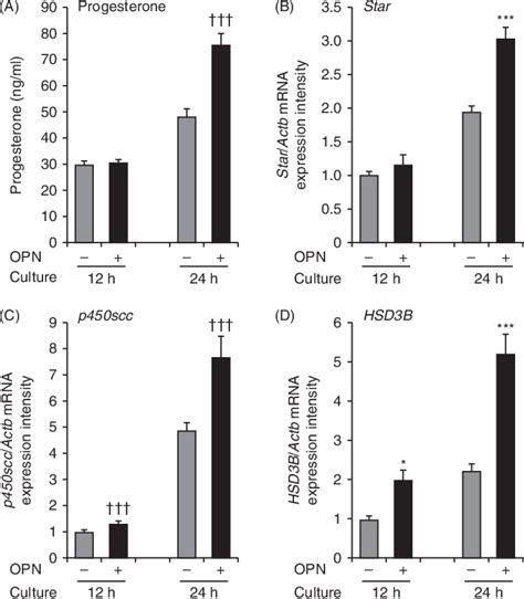 Figure 4 From Gonadotropin Regulation And Role Of Ovarian Osteopontin