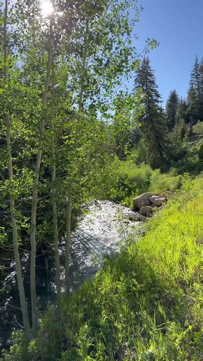 Camping On The Banks Of Left Fork Huntington Creek Peace In Paradise