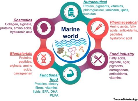 Marine Bioactives From Energy To Nutrition Trends In Biotechnology