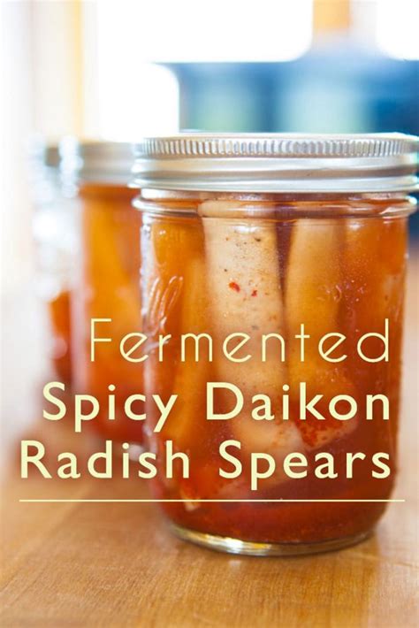 Fermented Spicy Daikon Radish Spears Fermentation Recipe