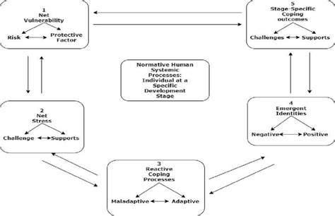 Phenomenological Variant Of Ecology Systems Theory Pvest Download Scientific Diagram