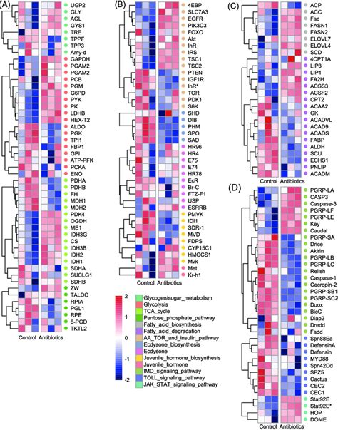 The Hierarchical Clustering Heatmaps Of Selected Degs Related To Energy Download Scientific