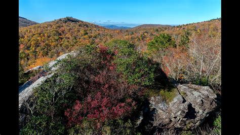 Here's when North Carolina's fall colors are expected to peak | wcnc.com