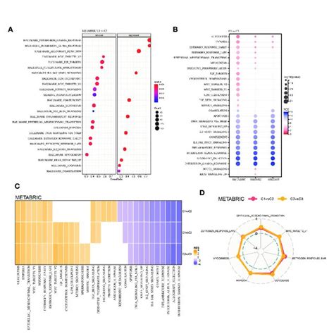 Functional Analysis Among The LR Pairs Based Molecular Subtypes A