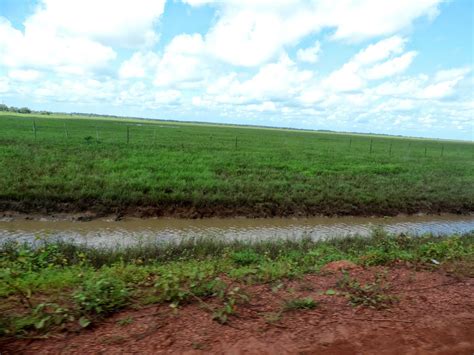 come se Arroz marreca em Cachoeira do Arari no Marajó