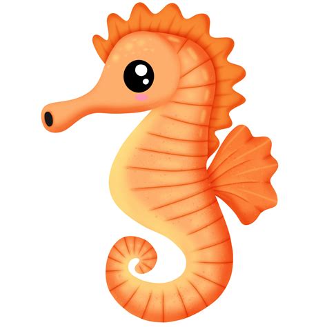Cute Cartoon Seahorse 47065427 Png