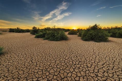 De Junio D A Mundial De Lucha Contra La Desertificaci N Y La Sequ A