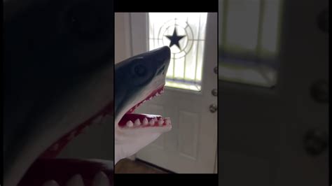 The Best 30 Shark Puppet Meme Gif - schutetvesz