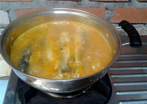 Resep Tempoyak Ikan Patin Khas Jambi Oleh 🌸fatimatuzzahra🌸 Cookpad