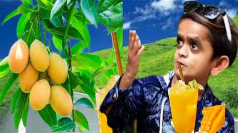 Bittu Dada Mango Juice Wala गर्मी का राजा बिट्टू का मैंगो ज्यूस