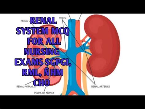 RENAL SYSTEM MCQ FOR ALL NURSING EXAMS SGPGI RML ÑHM CHO YouTube