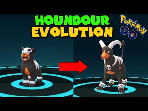 Evolving HOUNDOUR to HOUNDOOM (Pokemon Go GEN 2 Evolution) - YouTube