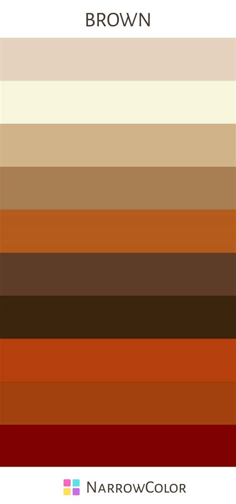 Brown Color Palette: A Guide for Designers