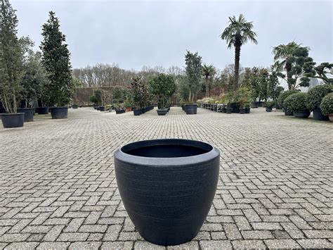 Luxury Vase Plantenbak Zwart 75 Cm Palmexpert Nl