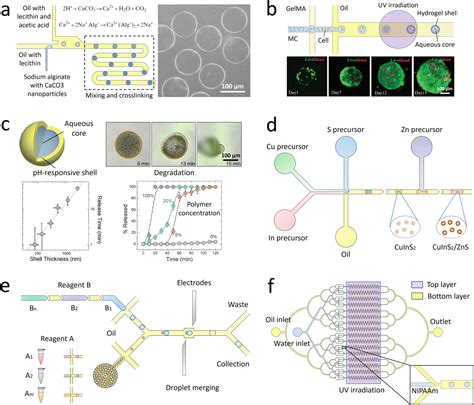 Development And Future Of Droplet Microfluidics Lab On A Chip Rsc Publishing