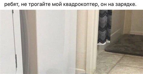 Котокоптер | Пикабу