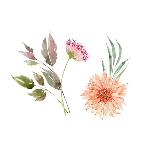 Satz Aquarellillustrationen Von Rosa Blumen Und Pflanzen Auf Einem