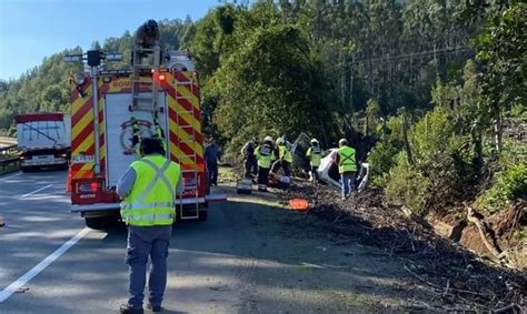 Los Lagos Confirman Un Fallecido Tras Accidente En Ruta Sur Diario