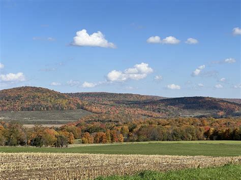 Finger Lakes National Forest Oct Slaptheworld Flickr