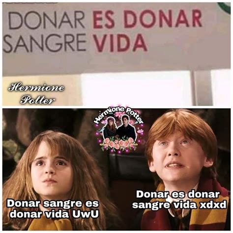 Pin De Viviana En Harry Potter Memes Memes Chistosisimos Memes Buenisimos