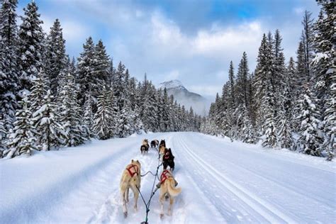 The 20 Best Winter Activities in Alberta | The Planet D