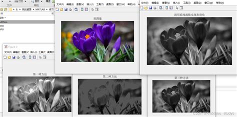 2 matlab图像三种方法灰度值处理 matlab图片灰度化 CSDN博客