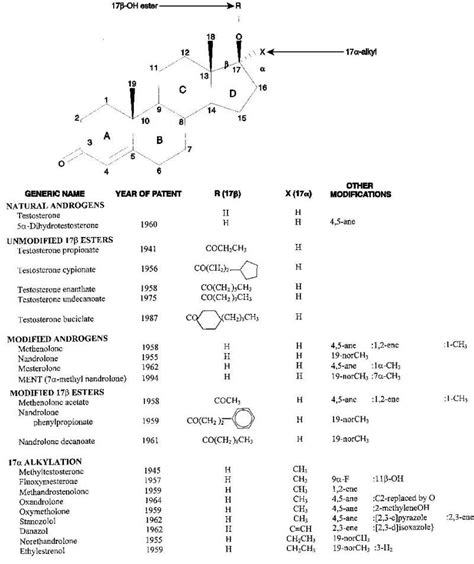 Androgen Physiology Pharmacology Use And Misuse Endotext NCBI