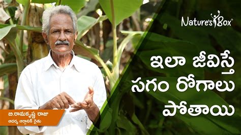 Future Of Organic Farming In India Telugu Farmer Bhupathi Raju