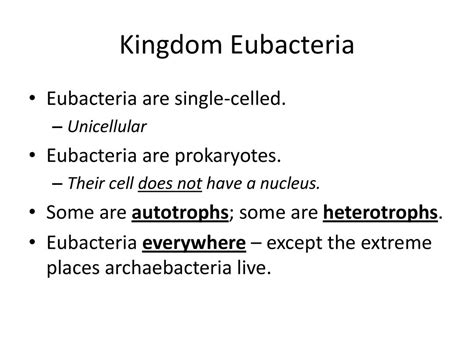 Kingdom Eubacteria Examples Organisms