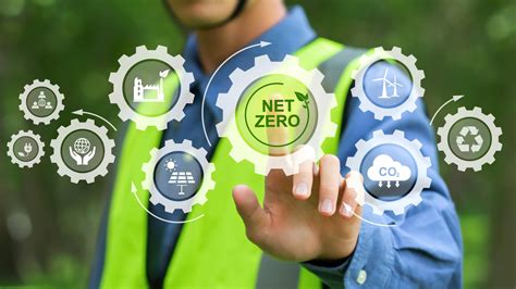 Bee Net Zero Upskilling The Workforce Are We Ready For Net Zero