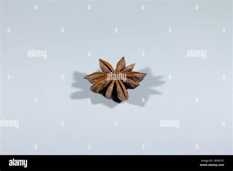 Picture Of A Star Anise On A Grey White Background Anise Also Called